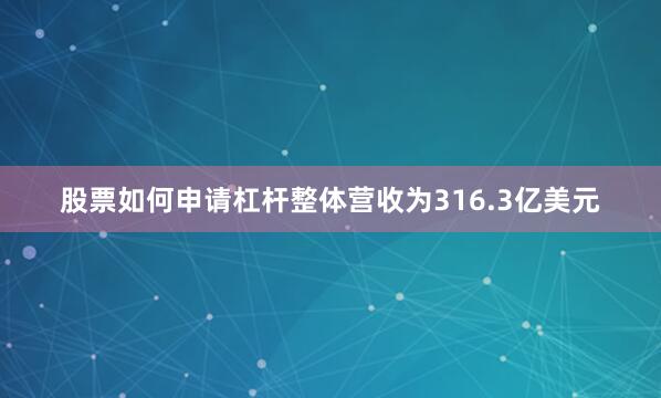 股票如何申请杠杆整体营收为316.3亿美元