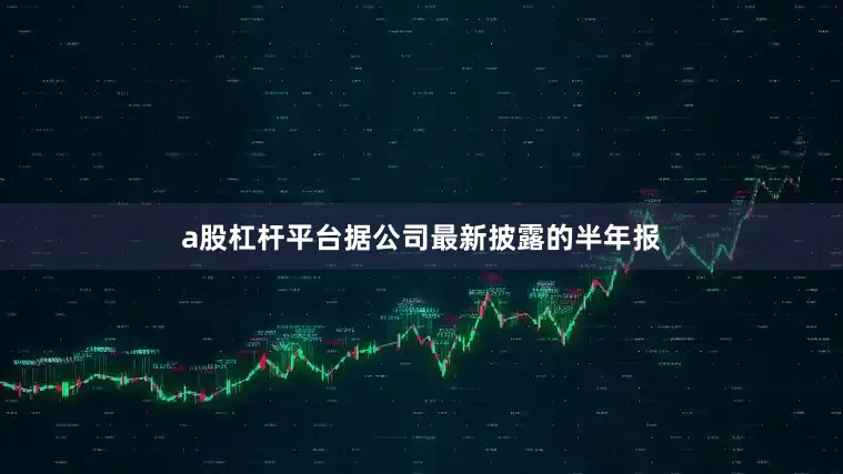 a股杠杆平台据公司最新披露的半年报