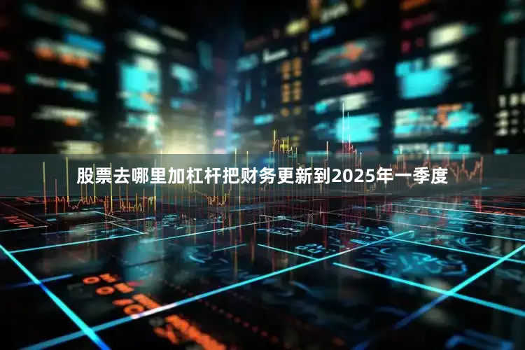 股票去哪里加杠杆把财务更新到2025年一季度