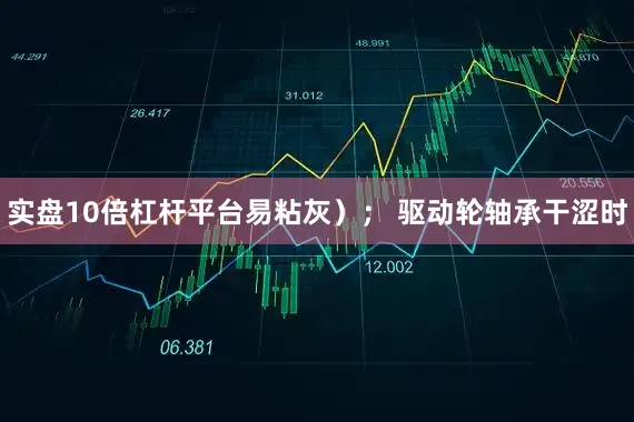 实盘10倍杠杆平台易粘灰）； 驱动轮轴承干涩时